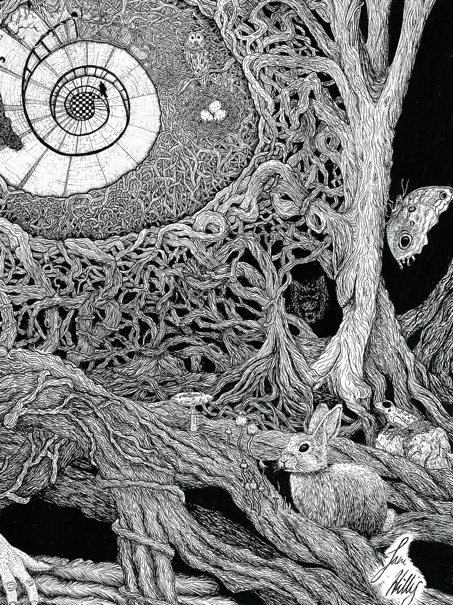 Plato's Shadow Print